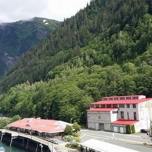 Meet your Posher, Ronnie